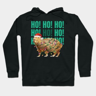 Capybara  HO HO HO ! and christmas lights, Capybara Pets, Cute capybara Hoodie